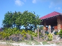 Phangan Utopia Resort Garden