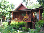 Koh Phangan Bungalows & Accommodation